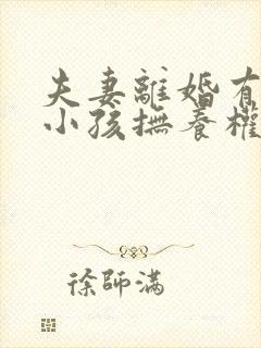 夫妻离婚有两个小孩抚养权怎么判