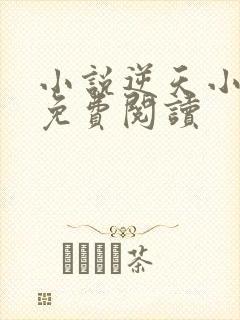 小说逆天小毒妃免费阅读