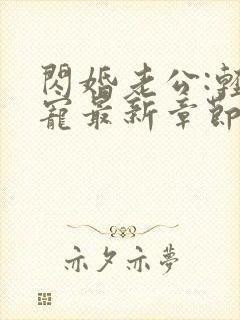 闪婚老公:轻点宠最新章节目录封面