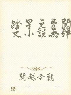 踏星免费阅读全文小说无弹窗封面