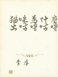 猫咪为什么会发出咕噜咕噜的声音封面