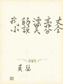 我的漂亮丈母娘小说吴芬全文阅读封面