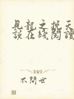 见龙之挽天倾小说在线阅读