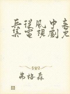 兵从风中来40集电视剧免费观看