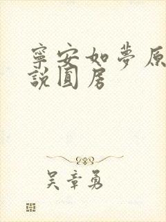 宁安如梦原著小说圆房封面