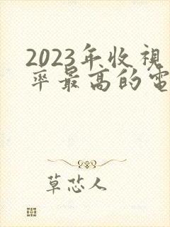 2023年收视率最高的电视剧排行榜