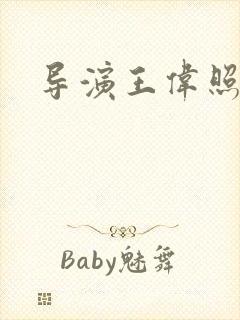 导演王伟照片封面