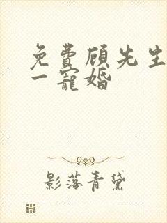 免费顾先生的第一宠婚封面