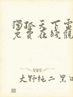 独孤天下电视剧免费在线观看