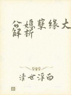 公媳孽缘大结局解析封面