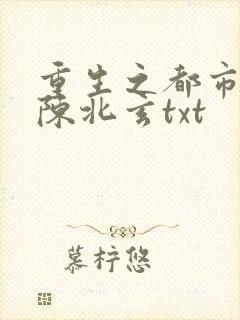 重生之都市修仙陈北玄txt