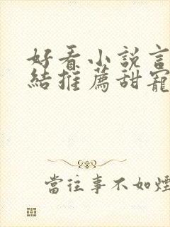 好看小说言情完结推荐甜宠文