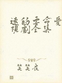 远的要命爱情电视剧全集封面