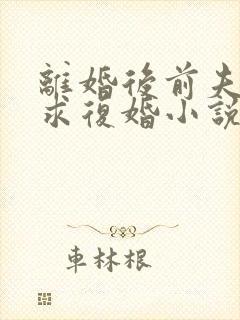 离婚后前夫哭着求复婚小说版封面