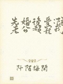 先婚后爱:隐婚老公超宠我