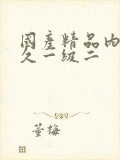 国产精品内射久久一级二