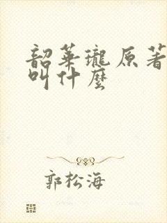 韶华珑原著小说叫什么