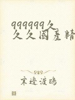 999999久久久国产精品丝袜高跟封面