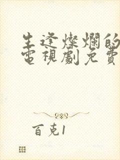 生逢灿烂的日子电视剧免费