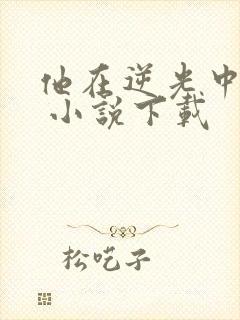 他在逆光中告白 小说下载