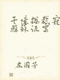 千亿总裁宠妻上瘾苏流云