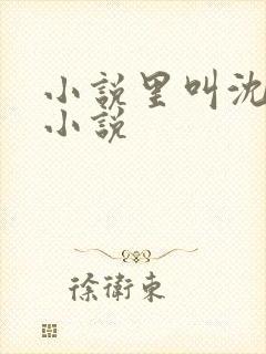 小说里叫沈宴的小说