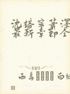 沈榕宁萧泽小说最新章节全文阅读