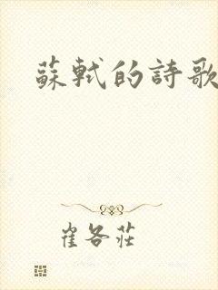 苏轼的诗歌特点