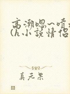 高潮嗯~喷水了(h小说情侣封面