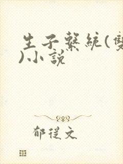 生子系统(双性)小说