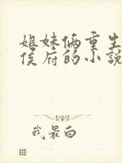 姐妹俩重生换嫁侯府的小说封面