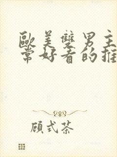 欧美双男主剧非常好看的推荐封面