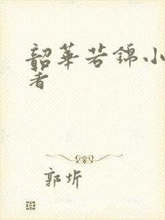 韶华若锦小说原著