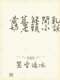 黄蓉解开乳罩喂奶老头小说封面