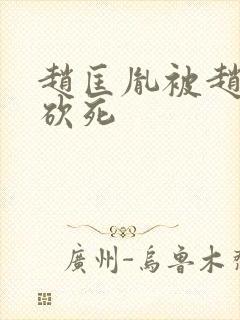 赵匡胤被赵光义砍死