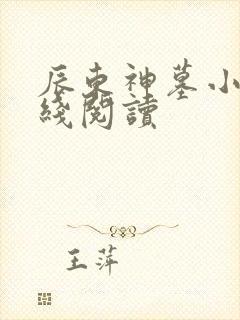 辰东神墓小说在线阅读