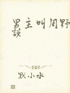 男主叫周野的小说