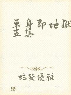 单身即地狱5第五集