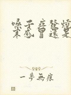 嗓子疼发烧是风寒感冒还是风热感冒