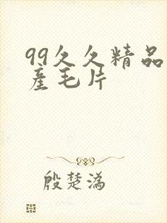 99久久精品国产毛片封面