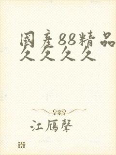 国产88精品久久久久久