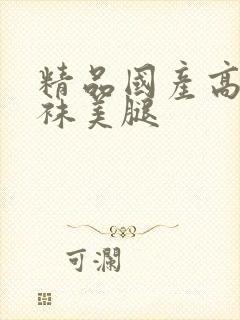 精品国产高跟丝袜美腿