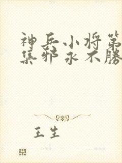 神兵小将第26集邪永不胜正