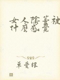 女人阴蒂被舔是什么感觉