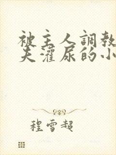 被主人调教成荡夫灌尿的小说