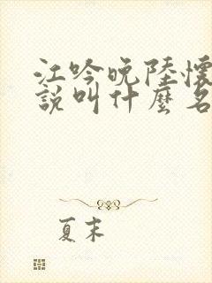 江吟晚陆怀璟小说叫什么名字