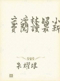 宋凛林昭小说免费阅读最新章节列表