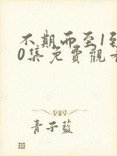 不期而至1到40集免费观看电视剧