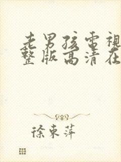 老男孩电视剧完整版高清在线观看封面