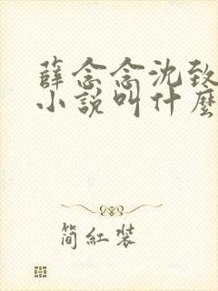 薛念念沈致宴的小说叫什么